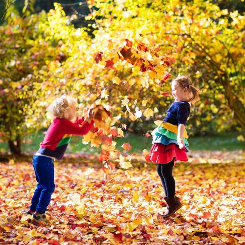 Why Fall Is a Great Time to Live in Greensboro