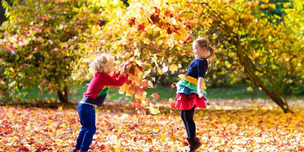 Why Fall Is a Great Time to Live &hellip;