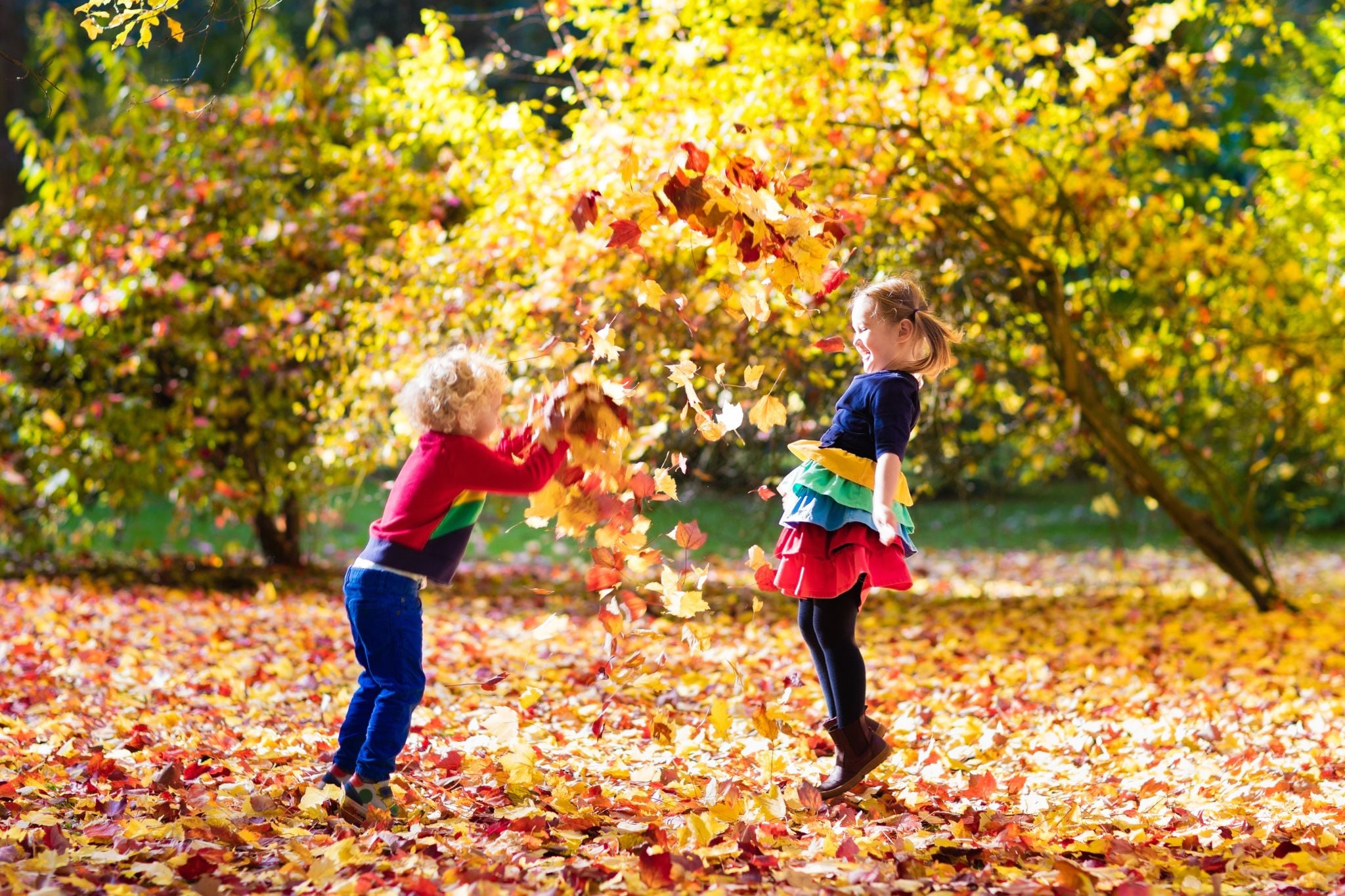 Why Fall Is a Great Time to Live in Greensboro