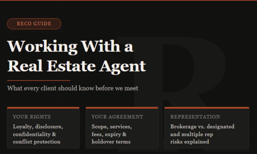 Understanding the RECO Information Guide