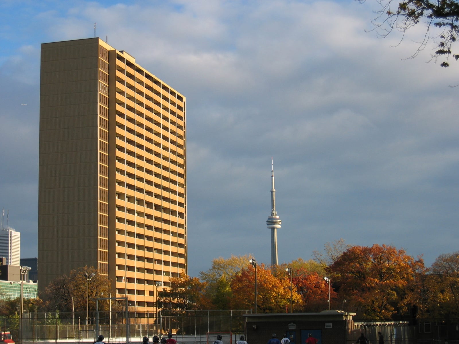 Tall apartment tower with autumn trees and the CN Tower in the distance