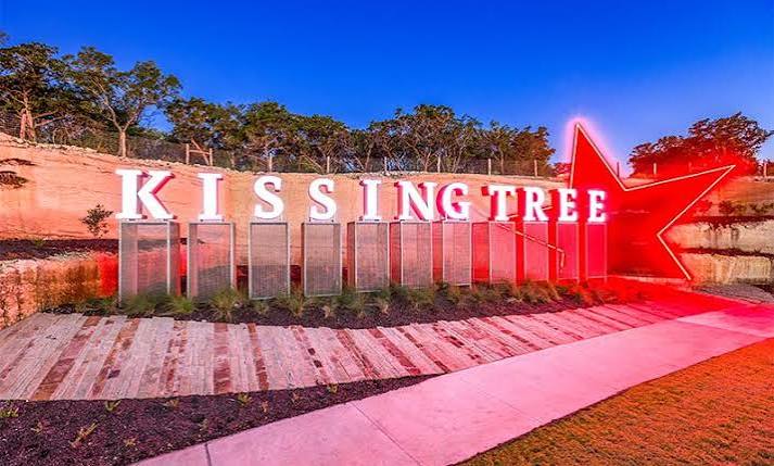 KissingTree