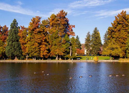 Greenlake