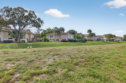 36-web-or-mls-DSC_6023