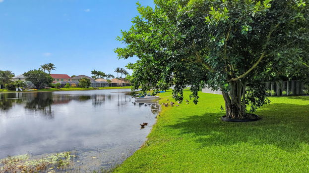 72-web-or-mls-DJI_0281