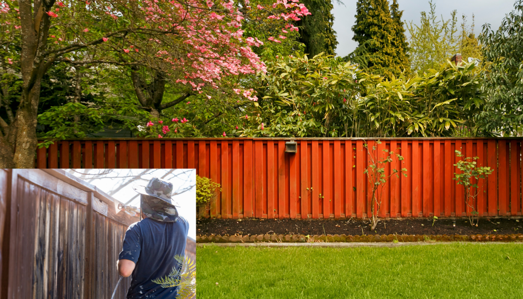 Fenced In Yard