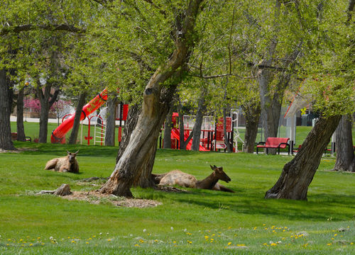 Arvada-shutterstock_1396889237