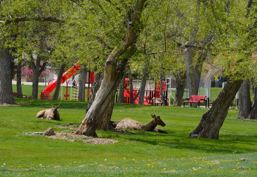 Arvada-shutterstock_1396889237