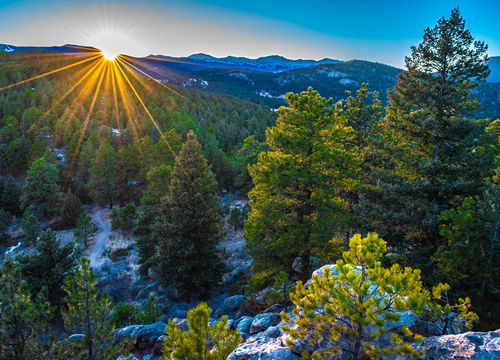 Evergreen-shutterstock_1285096729