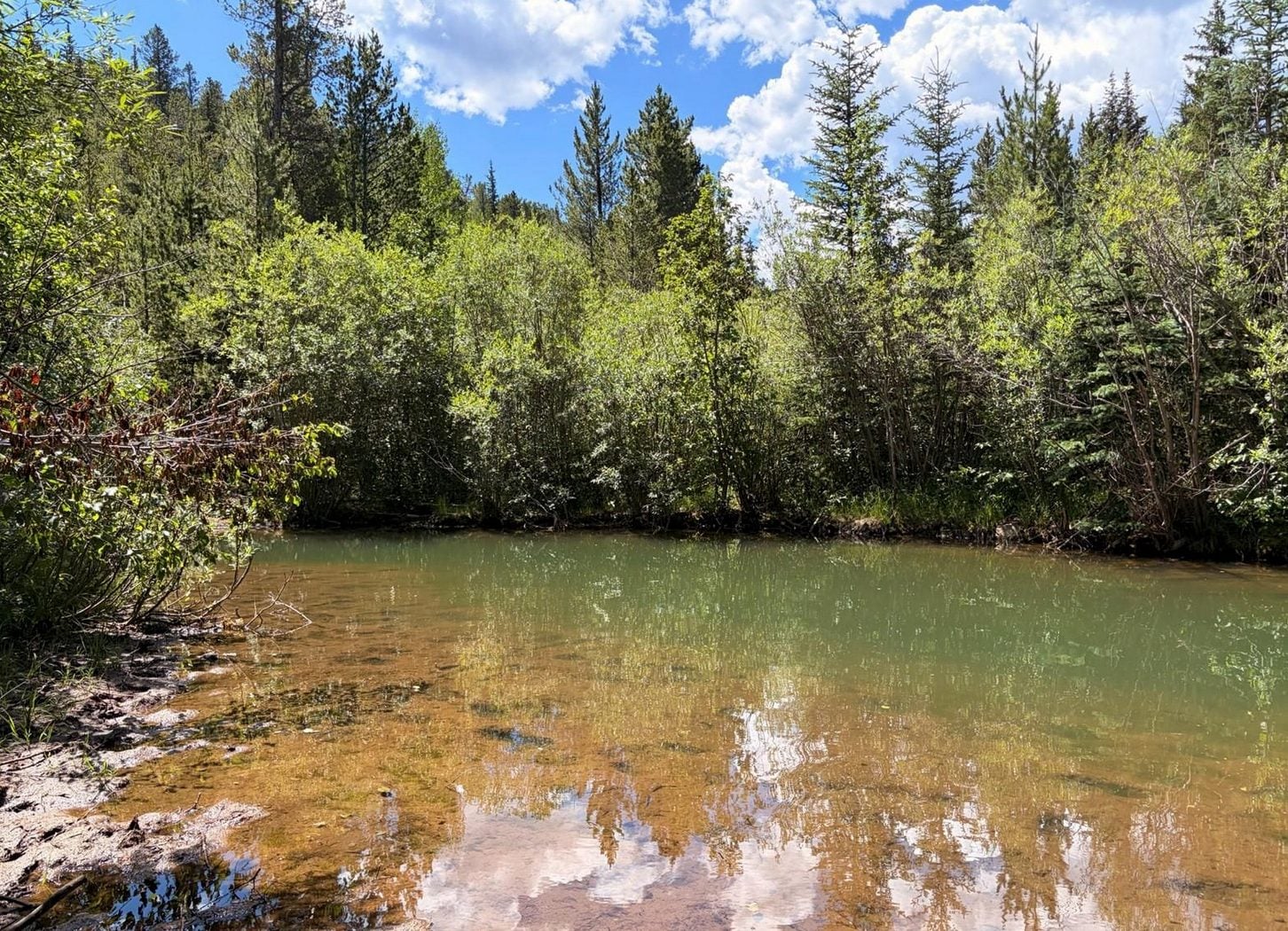 Alpine lake surrounded by evergreen forest in the Colorado mountains