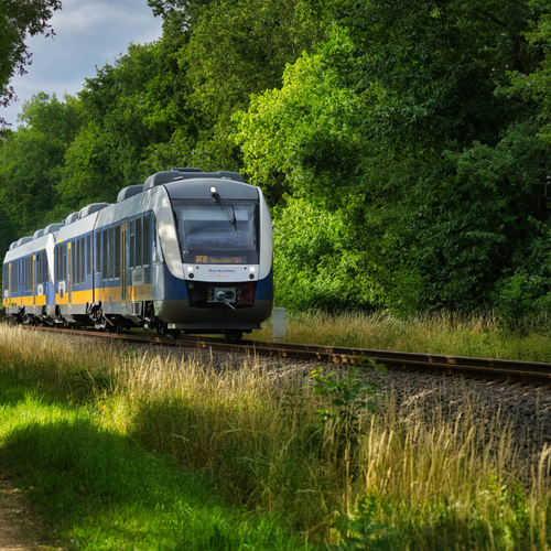 The Future of Transit in Cambridge and Waterloo Region: What It Means for You