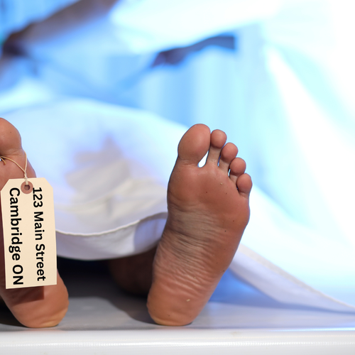 The Listing Autopsy: Why Your Home Did Not Sell and What to Do Next