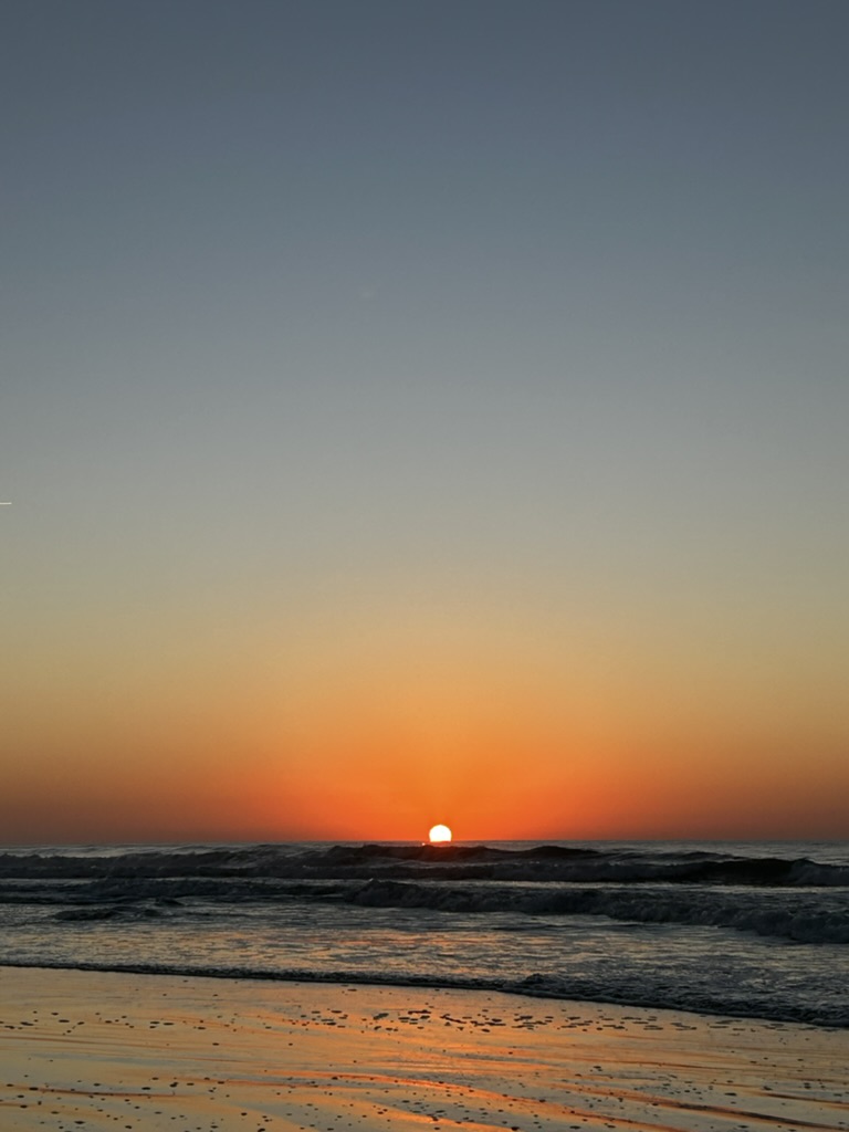 40340D47-CDF3-4BF7-A983-2331C0EA2A64_1_105_c