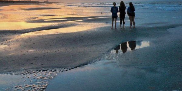 The Professional Partnership: What to Expect When Working &hellip;