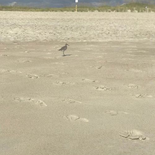 The Amortization Accelerator: How Paying Down Your Mortgage Early Saves You a Fortune