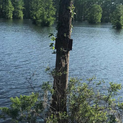 Boiling Spring Lakes: A Nature Lover’s Guide to Affordable Brunswick Living