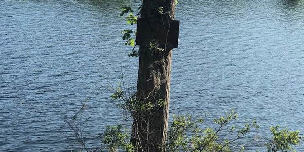 Boiling Spring Lakes: A Nature Lover’s Guide to &hellip;