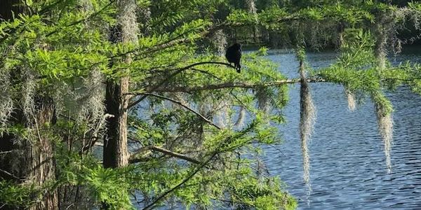 Green Space Gold: Finding Real Estate Near Southeastern &hellip;