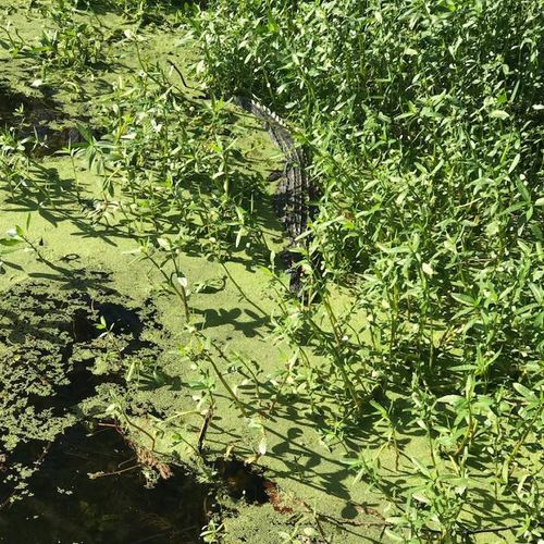 Land Banking: Buying Raw Land as a Hedge Against Inflation