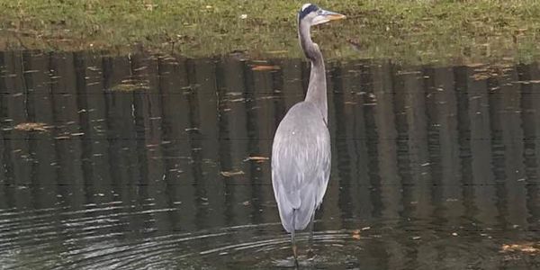 Septic Smarts: Maintenance Tips for Rural Homeowners in &hellip;