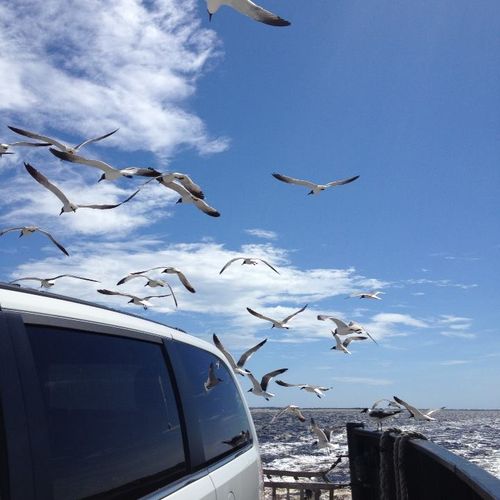 Monkey Junction Why This Established Area Remains a Buyer Favorite