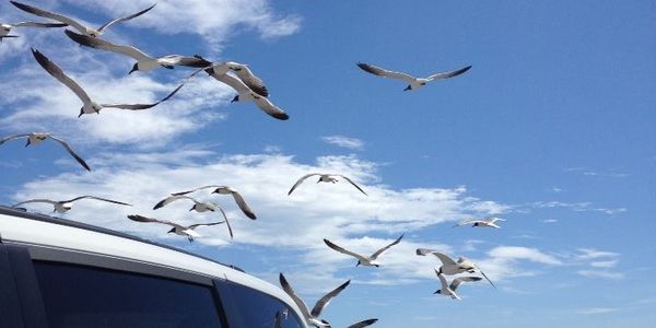 The Seller's Checklist: 5 Ways to Limit Closing &hellip;