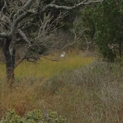 The Northern Frontier: Navigating Urban Sprawl in Castle Hayne