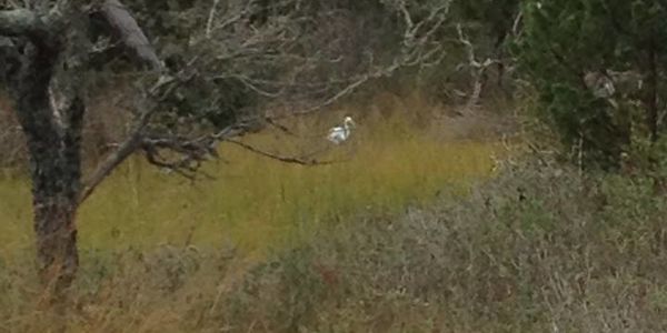 The Northern Frontier: Navigating Urban Sprawl in Castle &hellip;