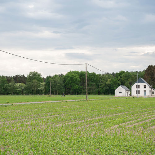 Easements Explained: Who Actually Has Access to Your Property?