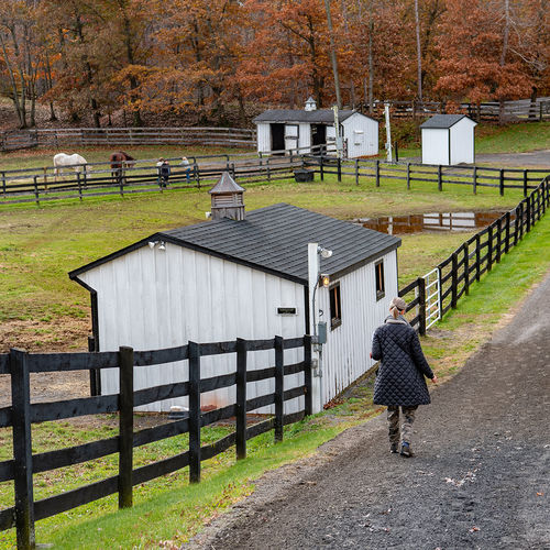 The Equestrian Corridor: Horse-Friendly Communities Along the Pender/New Hanover Line