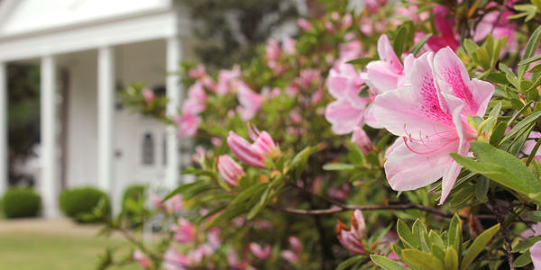 Navigating the Gap: The Low Appraisal Playbook for &hellip;