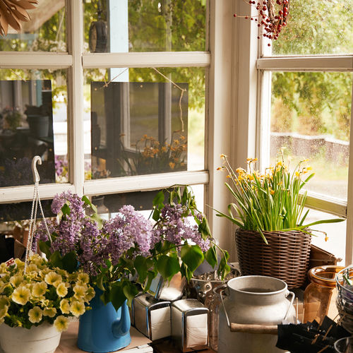 Screened Porch vs. Sunroom: Which Adds More Value to a Coastal Home?