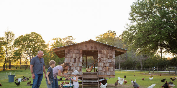 Zoning 101: Can You Keep Chickens or Park &hellip;