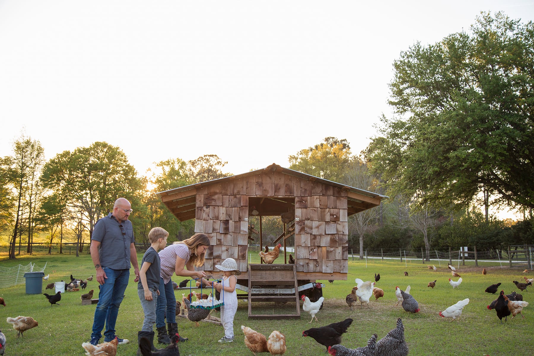 family-on-farm-surrounded-by-chickens-mother-and-2025-04-04-12-41-30-utc