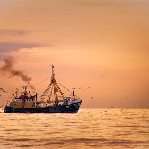 The Calabash Advantage: Strategic Living on the Border