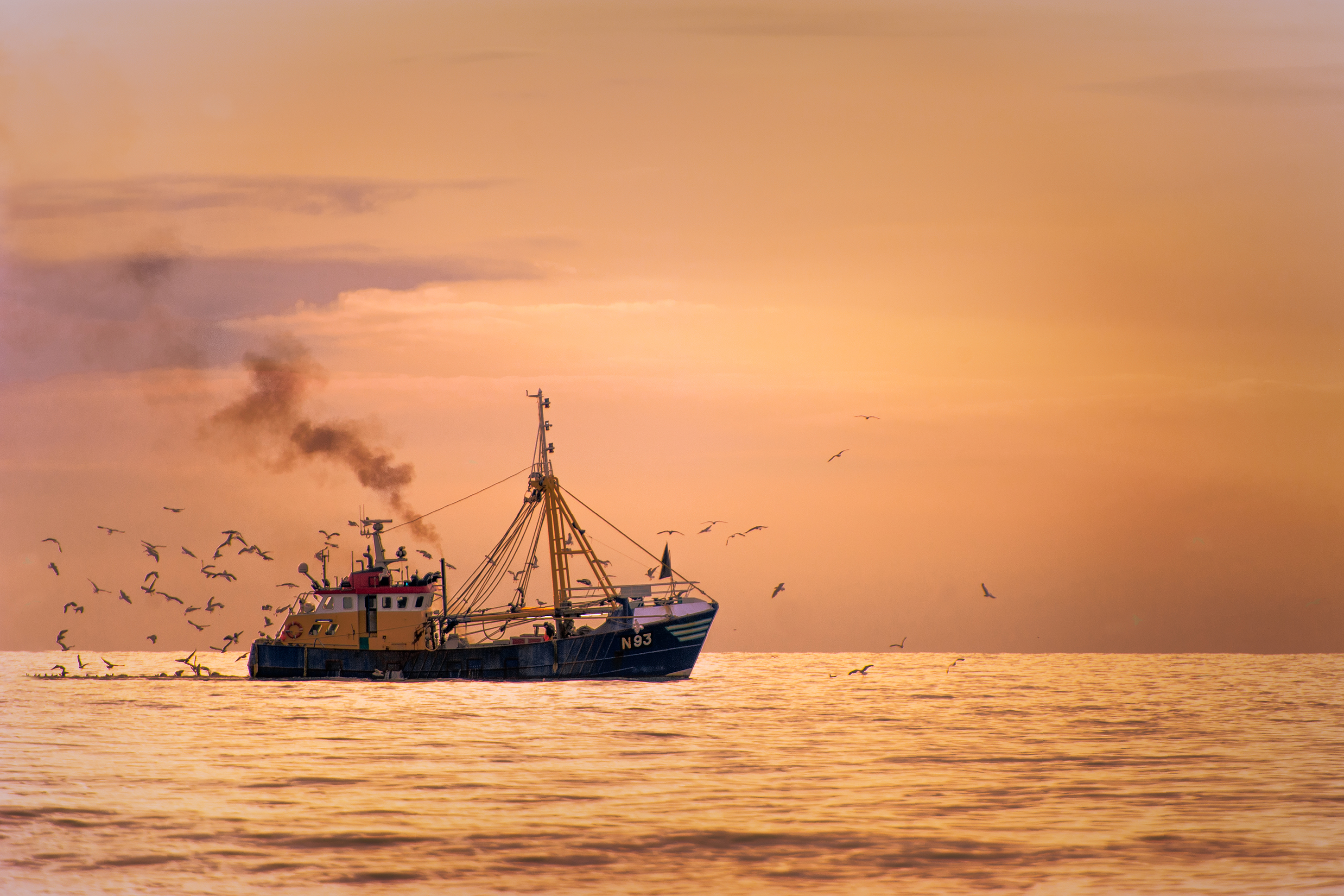 fisherman-boat-on-the-sea-with-birds-behind-during-2024-10-18-06-33-10-utc