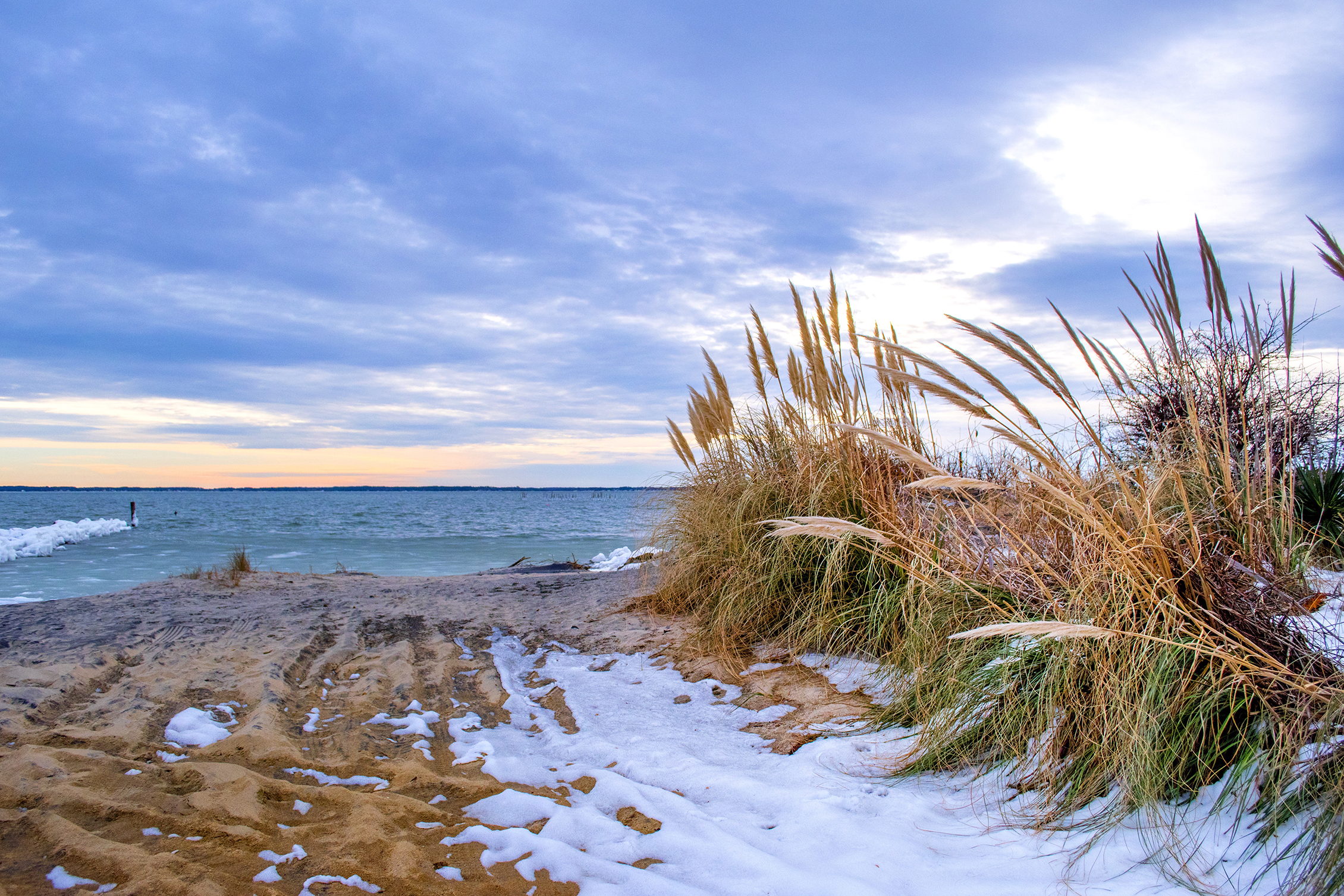 nature-2024-12-06-07-15-36-utc