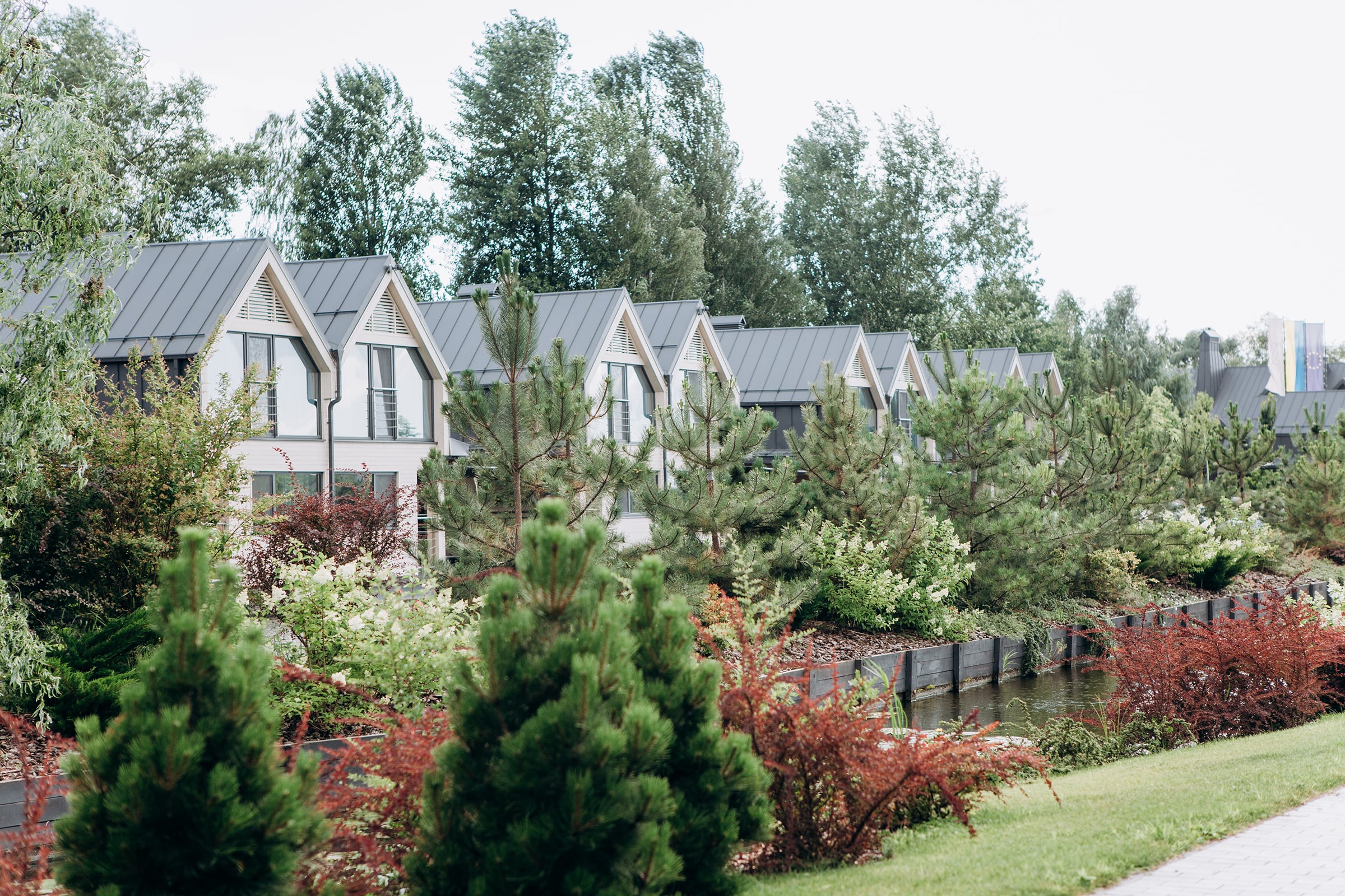 recreation-2025-01-07-12-08-57-utc