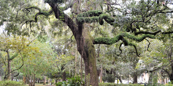 The "Golf Villa" Paradox: Why Fairway Views Can &hellip;