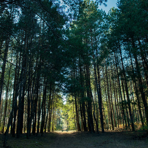 Rocky Point Rising: Why this Pender Town is the New