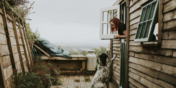 Relocating with Four-Legged Locals: A Pet Owner’s Guide &hellip;