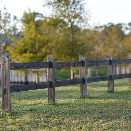 Pedal Power: The Best Wilmington Neighborhoods for Access to the Gary Shell Cross-City Trail