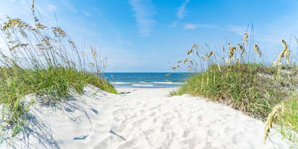 The "Sand Scratch" Factor: Protecting Coastal Flooring Investments