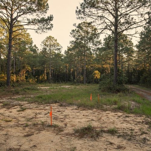 Buying Land in Pender County: Septic, Wells, and Perc Tests