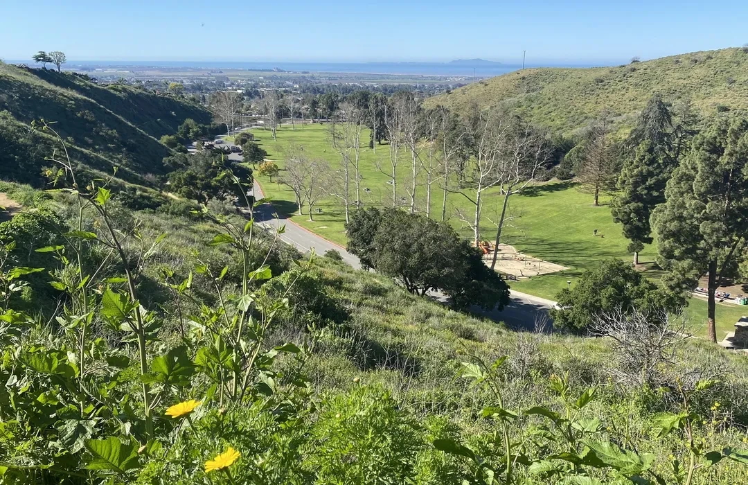 Community park and green space in Ventura