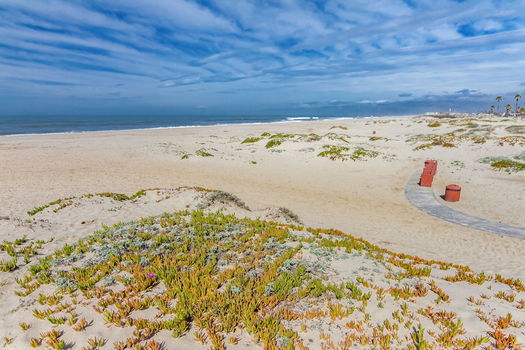 49-web-or-mls-The Colony-2