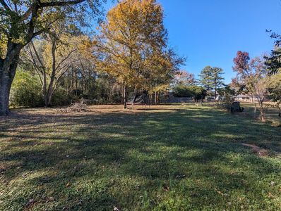 PXL_20241122_185532956