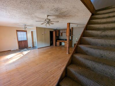 PXL_20241122_194013409-EDIT