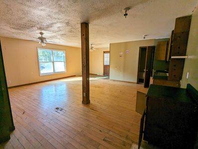 PXL_20241122_194026946-EDIT