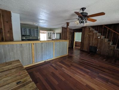 PXL_20241122_194429468